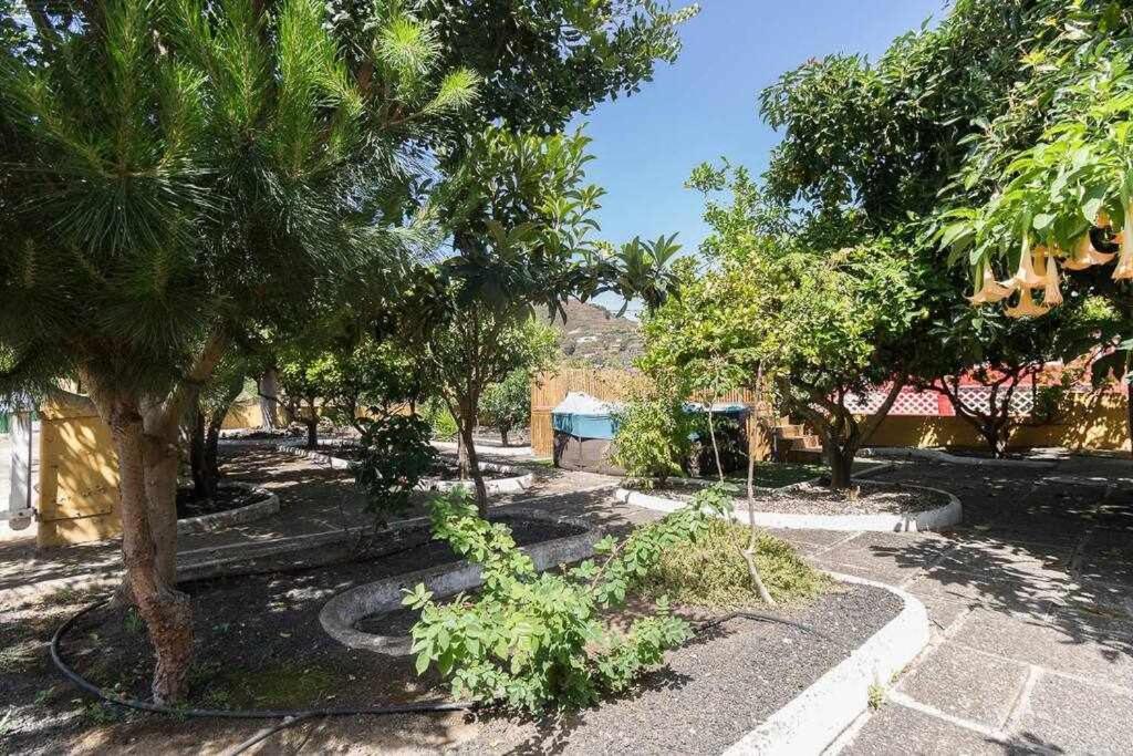 Villa Ojuelos Gran Canaria ベガ・デ・サン・マテオ エクステリア 写真