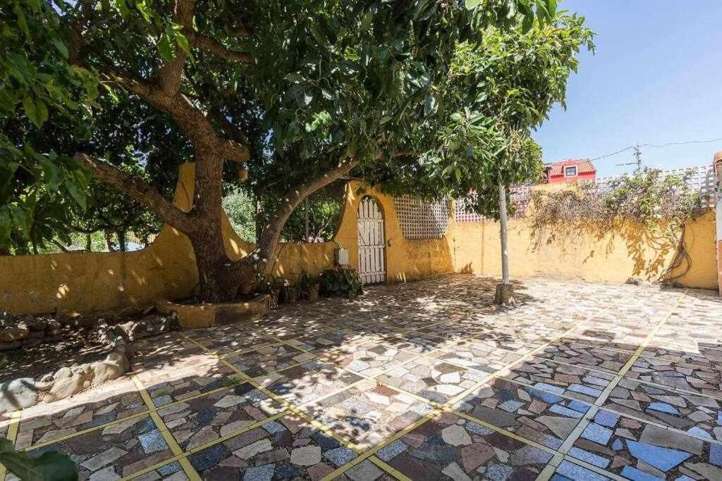 Villa Ojuelos Gran Canaria ベガ・デ・サン・マテオ エクステリア 写真